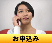 ���\���݂̗���