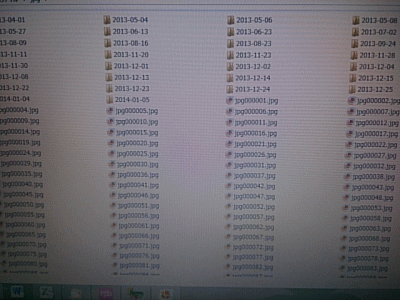 �f�[�^����