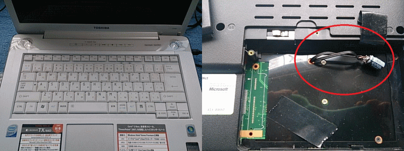 �v���[�h���C�U����