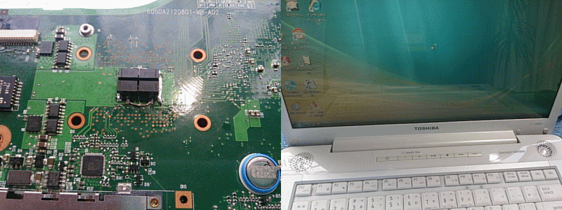 �v���[�h���C�U����