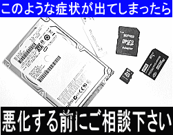 �f�[�^����